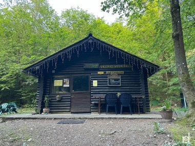 Crown beech hut